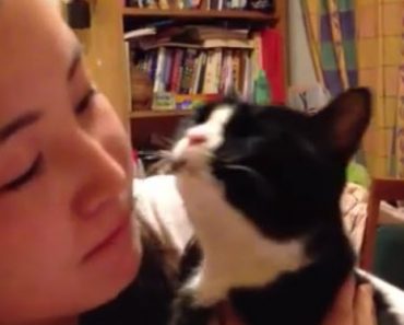 Woman Talks to Her Cat and Then the Cat Talks Back
