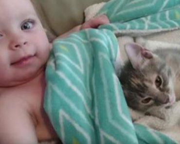 What Could Possibly Be Cutter Than An 8-Month-Old Baby? Oh Yeah, There’s A Kitten With Her